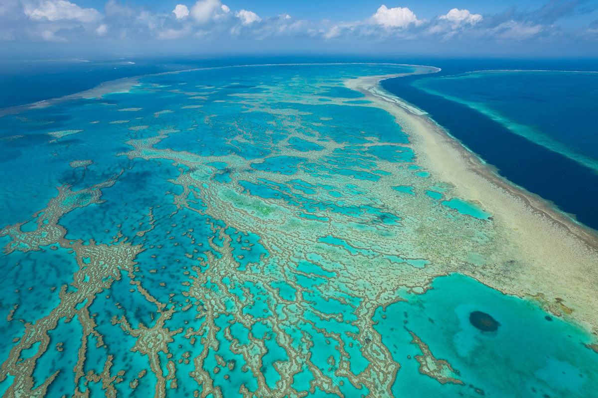 The Great Barrier Reef Coral in Australia