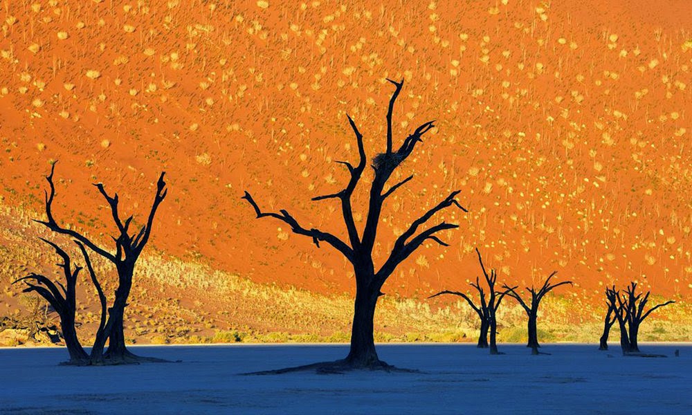 Dead Vlei, incredible cemetery ghost trees in Namibia