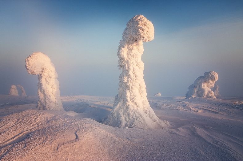 The sentinels of the Arctic in Finland