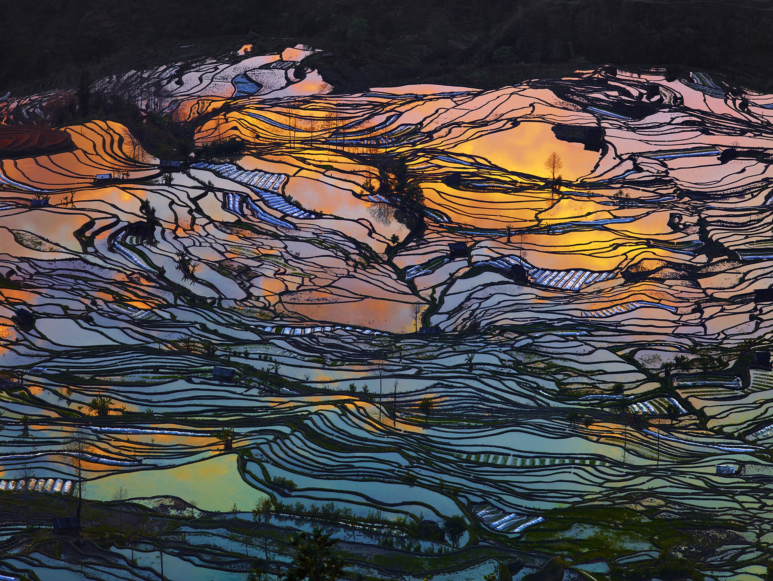 The rice terraces of Yuanyang, in China