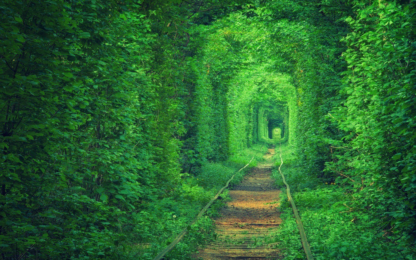 Tunnel of Love, in Ukraine