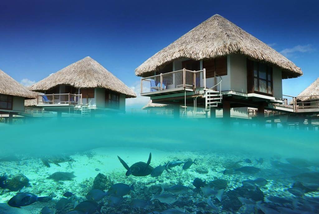 Bora Bora, French Polynesia: The perfect honeymoon