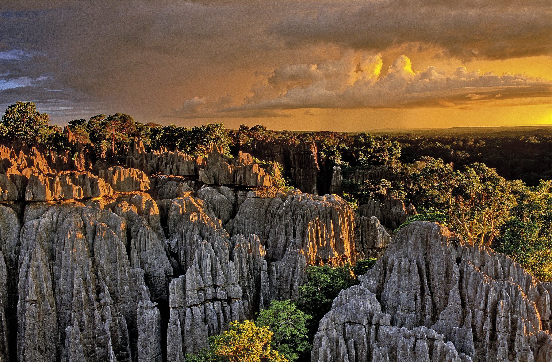 Tsingy de Bemaraha, Madagascar: Calcareous Cathedrals