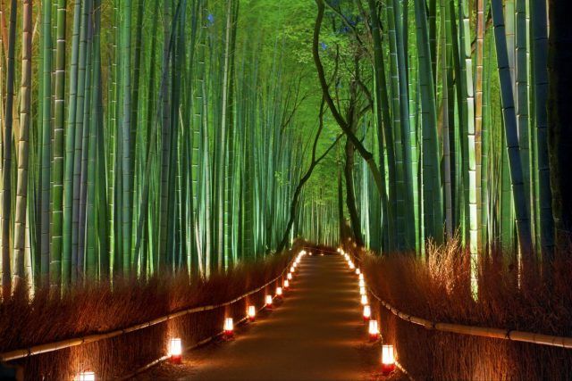 Arashiyama, a magical place near Tokyo