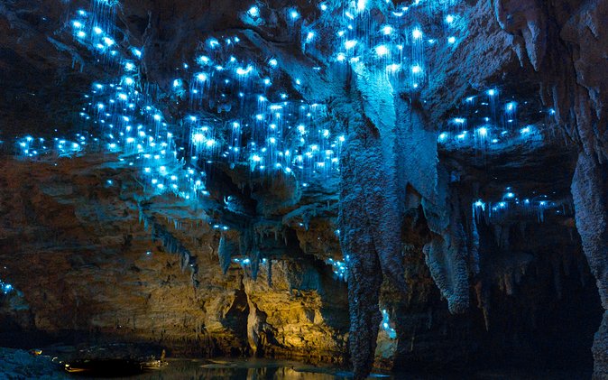 Waitomo Caves: a magical place illuminated by fireflies